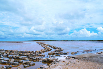 salt ponds